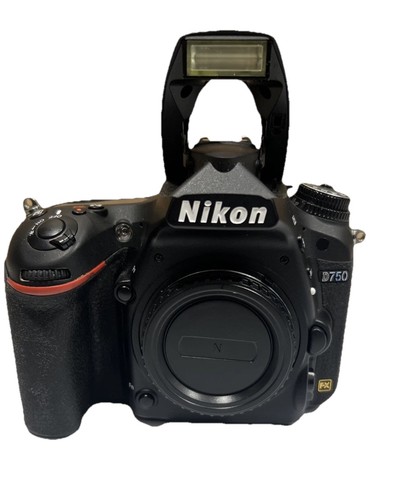 Nikon d750 megapixel - 24,3,